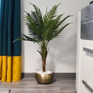 Appartement met een Slaapkamer
